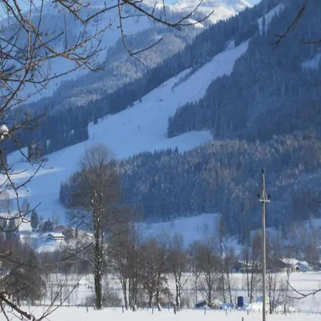 Pleasant In Saalfelden, Cleaning Included * Saalfelden