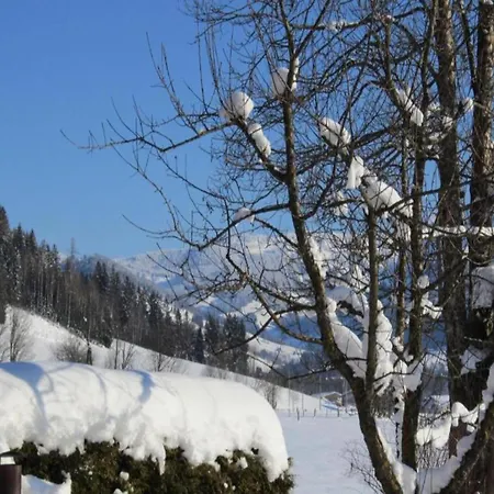 Pleasant In Saalfelden, Cleaning Included Appartement Saalfelden